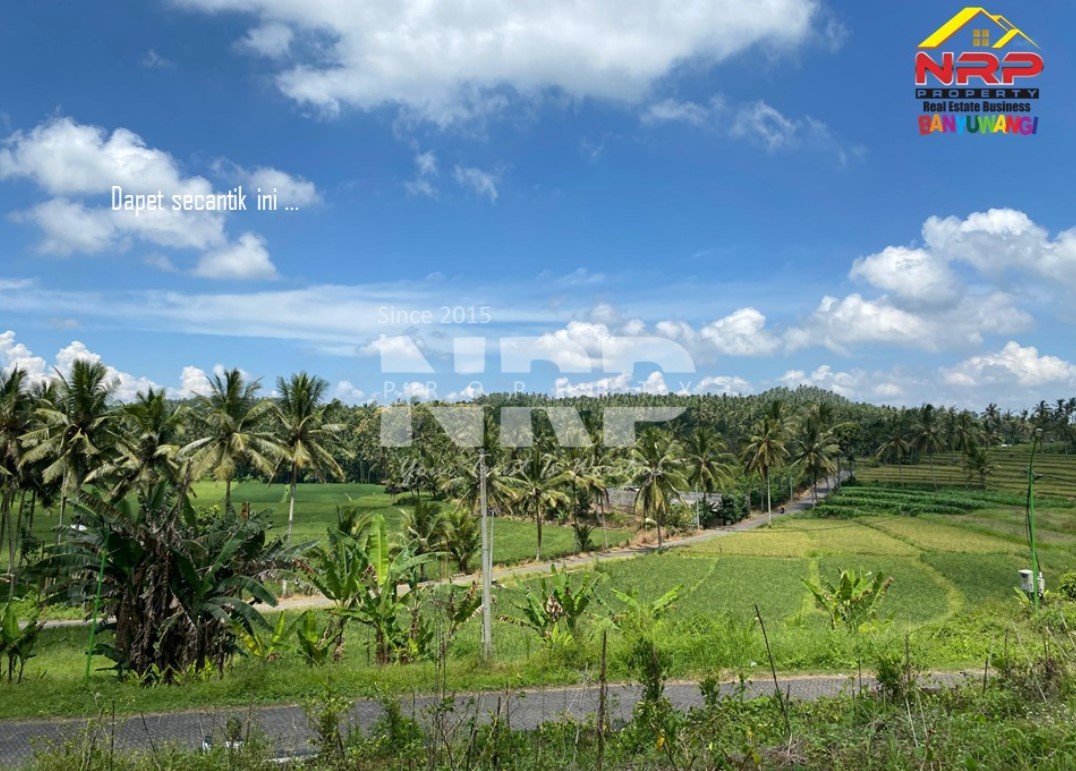 Dijual Tanah Dengan View terasiring Cantik di tepi Paspan Glagah 7